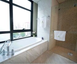 The Ritz-Carlton  (D9), Condominium #417002221